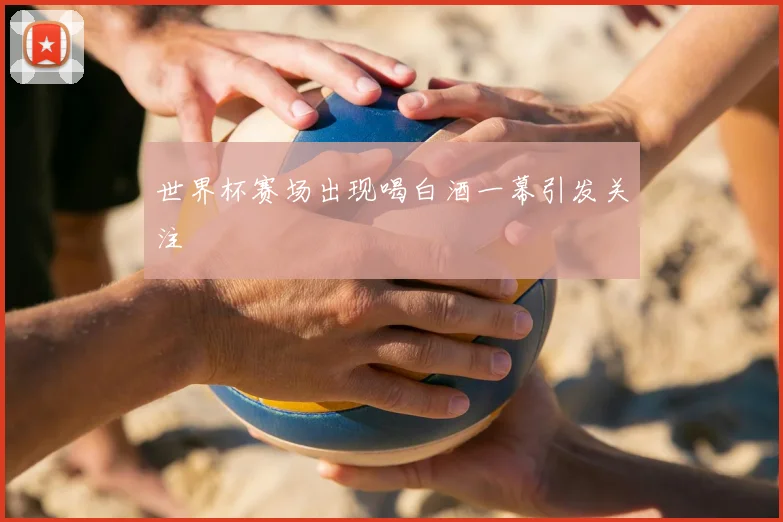 世界杯赛场出现喝白酒一幕引发关注