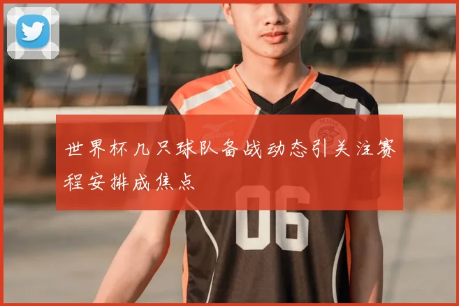 世界杯几只球队备战动态引关注赛程安排成焦点