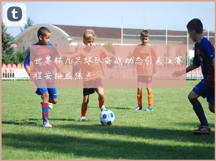 世界杯几只球队备战动态引关注赛程安排成焦点